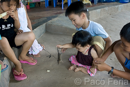 Asia;Sudeste_Asiatico;tropico;zonas_tropicales;gente;personas;sociedad;razas_y_etnias;oriental_asiatico;vietnamitas;ninos_jugando;ninos;nino;animales;zoologia;roedores;raton;ratones;paso_fronterizo;frontera