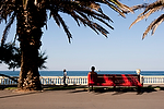 Europa;Portugal;Oporto;agua;mares_y_oceanos;mar;oceano_Atlantico;caminar;andar;caminando;paseo_maritimo;gente;personas;palmera;palmeras;arbol;arboles