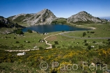 Europa;Espana;Asturias;naturaleza_y_medioambiente;medioambiental;masas_agua;agua;lago;lagos;laguna;lagos_Covadonga;paisajes;paisaje_montana;montanas;parques_nacionales;Picos_Europa;medio_rural;caminos_rurales;camino_rural;vias_comunicacion;carretera_montana