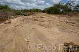 Africa;Kenia;naturaleza_y_medioambiente;medioambiental;recursos_naturales;agua;escasez_agua;cauce_rio_seco;sequia