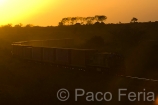 Africa;Kenia;transporte;medios_transporte;transportes_terrestres;tren;vias_del_tren;vias_del_ferrocarril;naturaleza_y_medioambiente;medioambiental;paisajes;puesta_Sol;atardecer;ocaso;luz_del_dia;luz_dorada;colores;color;color_dominante;color_dorado;entorno_urbano;vias_comunicacion;vias_del_tren;rail;railes;trenes;transporte_publico;ferrocarril;ferrocarriles