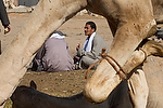 Africa;Egipto;gente;personas;nacionalidad;egipcio;Islam;islamico;musulman;musulmanes;animales;animales_domesticos;camello;entorno_urbano;tiendas_y_comercios;mercado;mercadillo;mercados;trabajo;trabajando;vendedor;vendiendo;comerciante;comercio;Mercado_camellos