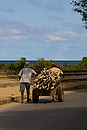 Africa;Kenia;paises_en_vias_desarrollo;Tercer_Mundo;naturaleza_y_medioambiente;medioambiental;paisajes;paisaje_tropical;gente;personas;sociedad;actividades_sociales;gente_trabajando;trabajadores;trabajo;transporte_mercancias;transportista;transporte_madera;razas_y_etnias;africano;negroide;subsaharianos;raza_negra