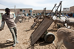 Africa;Mauritania;desierto_del_Sahara;el_Sahel;animales;animales_domesticos;animales_granja;burro;asno;burros;transporte;medios_transporte;transportes_terrestres;animales_tiro;burro_tiro;paises_en_vias_desarrollo;Tercer_Mundo;pobreza;caminar;andar;caminando;gente;personas;sociedad;jovenes;joven;adolescentes;inmigrantes;subsaharianos;raza_negra;negro;entorno_urbano;tiendas_y_comercios;mercado;mercadillo;mercados