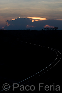 Africa;Kenia;transporte;medios_transporte;transportes_terrestres;tren;vias_del_tren;vias_del_ferrocarril;naturaleza_y_medioambiente;medioambiental;paisajes;puesta_Sol;atardecer;ocaso;luz_del_dia;luz_dorada;colores;color;color_dominante;color_dorado;paisaje_con_nubes;nubes;entorno_urbano;vias_comunicacion;vias_del_tren;rail;railes;transporte_publico;ferrocarril;ferrocarriles;trenes;cielo;Cielo_dramatico;luz;iluminacion;luz_dramatica