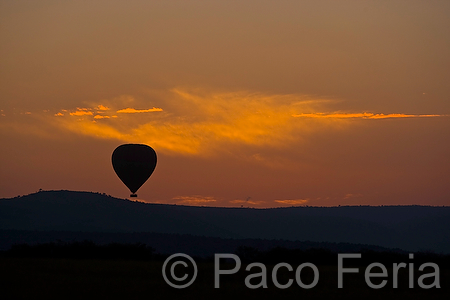 Africa;Kenia;naturaleza_y_medioambiente;medioambiental;reserva_natural;reserva_natural_Masai_Mara;Masai_Mara;paisajes;salida_del_Sol;al_alba;amanecer;soledad;solitario;transporte;medios_transporte;transporte_aereo;globo_aerostatico;ocio;visitas_turisticas;turista;turistas;grupo_turistas