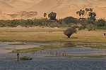 Africa;Egipto;medio_rural;agricultura;campos_sembrados;campos_cultivados;naturaleza_y_medioambiente;medioambiental;paisajes;paisaje_rural;paisajes_del_desierto;arena;dunas;masas_agua;agua;rio;rios;rio_Nilo;puesta_Sol;atardecer;ocaso;gente;personas;actividades_sociales;gente_navegando_por_rio;transporte;medios_transporte;Transporte_fluvial;barcas;barcos;barcos_navegando;navegacion;gente_pescando;pesca;pescadores;Vistas_Rio_Nilo_entre_Asuan_y_Luxor