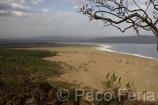 Africa;Kenia;naturaleza_y_medioambiente;medioambiental;reserva_natural;reserva_animales;animales;vida_salvaje;vida_salvaje_Africana;oviparos;aves;pajaros;aves_acuaticas;flamenco;flamencos;phoenicopterus;masas_agua;agua;lago;lagos;laguna;lago_Nakuru;parques_nacionales;parque_nacional_del_lago_Nakuru