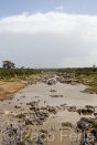 Africa;Kenia;medioambiental;naturaleza_y_medioambiente;reserva_Masai_Mara;reserva_natural;reserva_animales;animales;vida_salvaje;vida_salvaje_Africana;masas_agua;agua;rio;rios;rio_Mara;Masai_Mara