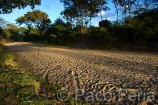 Africa;Kenia;naturaleza_y_medioambiente;medioambiental;recursos_naturales;agua;escasez_agua;sequia;cauce_rio_seco;paisajes;paisaje_rural;bosques;forestal;arbol;arboles;luz_del_dia;puesta_Sol;atardecer;ocaso;colores;color;color_dominante;color_dorado;luz_dorada