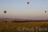 Africa;Kenia;naturaleza_y_medioambiente;medioambiental;animales;vida_salvaje;fauna;vida_salvaje_Africana;reserva_natural;reserva_natural_Masai_Mara;Masai_Mara;paisajes;paisaje_africano;sabana;planicies;salida_del_Sol;al_alba;amanecer;transporte;medios_transporte;transporte_aereo;globo_aerostatico;ocio;visitas_turisticas;turista;turistas;grupo_turistas