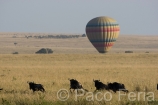 Africa;Kenia;naturaleza_y_medioambiente;medioambiental;animales;vida_salvaje;fauna;vida_salvaje_Africana;mamiferos;hervivoros;antilope;nu_azul;connochaetes_taurinus;nu;nues;la_gran_migracion;reserva_natural;reserva_natural_Masai_Mara;Masai_Mara;paisajes;paisaje_africano;sabana;planicies;salida_del_Sol;al_alba;amanecer;transporte;medios_transporte;transporte_aereo;globo_aerostatico;ocio;visitas_turisticas;turista;turistas;grupo_turistas