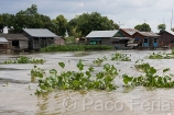 Asia;Camboya;Sudeste_Asiatico;tropico;zonas_tropicales;naturaleza_y_medioambiente;medioambiental;masas_agua;agua;rio;rios;casas_flotantes;casas_junto_al_rio;paisajes;paisaje_fluvial