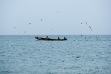 Africa;Mauritania;desierto_del_Sahara;el_Sahel;naturaleza_y_medioambiente;medioambiental;masas_agua;agua;mares_y_oceanos;mar;oceano_Atlantico;playa;transporte;medios_transporte;transporte_maritimo;navegacion;navegando;barco;barcos;barcos_pesca;gente;personas;sociedad;actividades_sociales;gente_pescando;pesca;pescadores;madres_hijos;animales;vida_salvaje;fauna;oviparos;aves;pajaros;gaviota;gaviotas;volar;volando;colores;color;color_dominante;azul