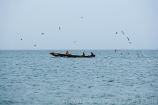 Africa;Mauritania;desierto_del_Sahara;el_Sahel;naturaleza_y_medioambiente;medioambiental;masas_agua;agua;mares_y_oceanos;mar;oceano_Atlantico;playa;transporte;medios_transporte;transporte_maritimo;navegacion;navegando;barco;barcos;barcos_pesca;gente;personas;sociedad;actividades_sociales;gente_pescando;pesca;pescadores;madres_hijos;animales;vida_salvaje;fauna;oviparos;aves;pajaros;gaviota;gaviotas;volar;volando;colores;color;color_dominante;azul