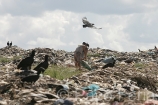 America_del_Sur;Sudamerica;tropico;zonas_tropicales;gente;personas;sociedad;tercer_mundo;pobreza;medio_rural;vertederos;basura;animales;vida_salvaje;oviparos;aves;pajaros;aves_volando;zopilote;buitres;gente_recogiendo_basura;gente_rebuscando_entre_basura;gente_en_un_vertedero