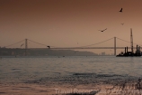 Europa;Portugal;Lisboa;paisajes;puesta_Sol;atardecer;ocaso;agua;rio;rio_Tajo;Tejo;paisaje_fluvial;delta;puente;aves;pajaros;gaviota;gaviotas;volar;volando;entorno_urbano;arquitectura;estilos_arquitectonicos;puentes;puente_25_Abril