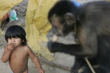 Circo, Taratopo, Perú