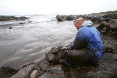 Marea negra en las costa de la Muerte, Galicia, España