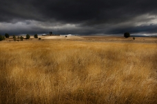 Campos de trigo cerca de Soria, España