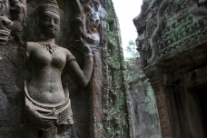 Los templos de Angkor, Camboya